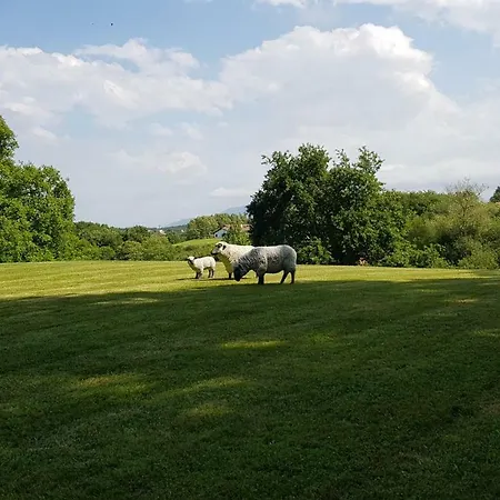 Maison D Hotes Lapitxuri 4*