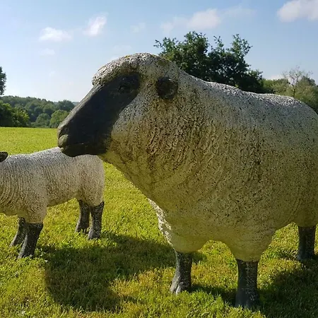 招待所 Maison D Hotes Lapitxuri