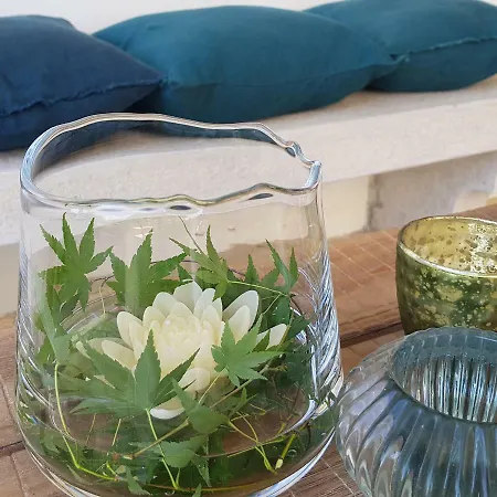 招待所 Maison D Hotes Lapitxuri 4*