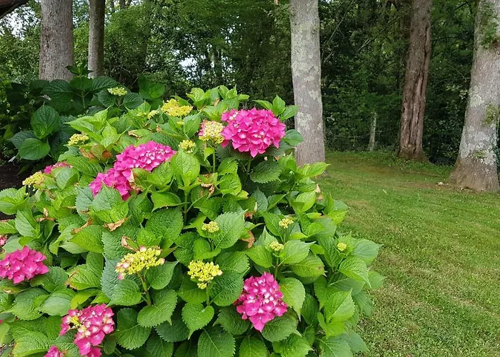 Maison D Hotes Lapitxuri Guest house Arcangues